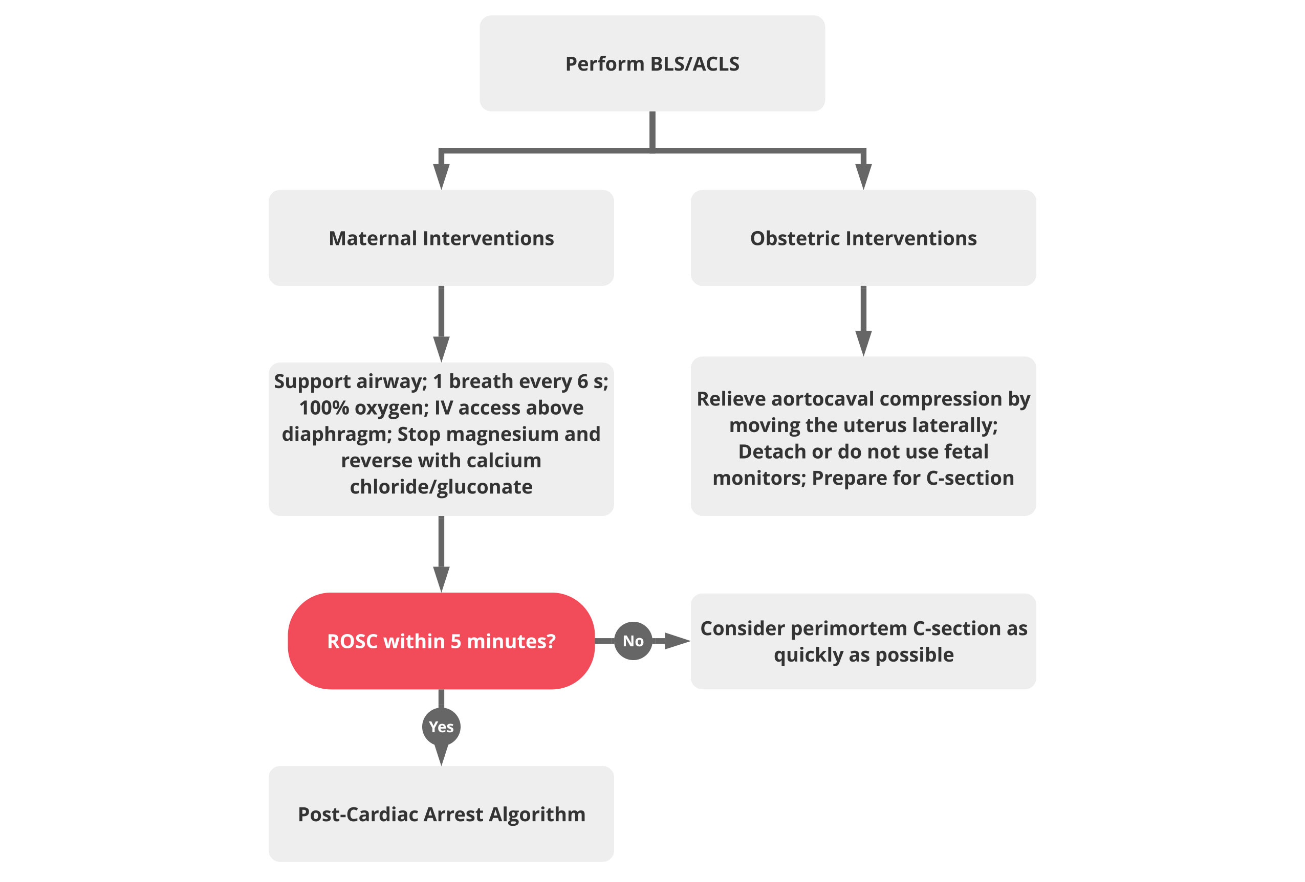 Figure 13: ACLS In-Hospital Cardiac Arrest in Pregnancy Algorithm