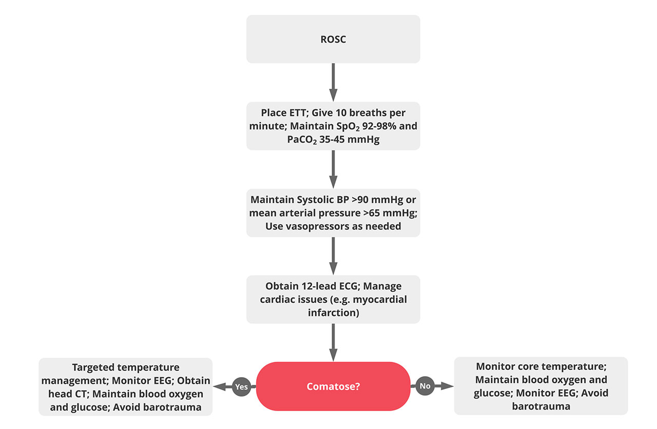 13-ACLS-Post-Cardiac-Arrest-Care-Algorithm